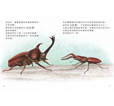 科學不思議1：昆蟲量體重